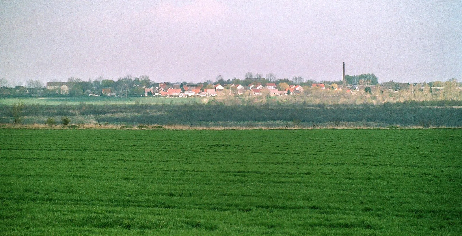 Königsaue